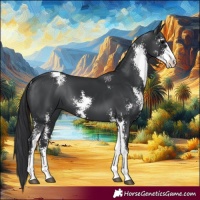 Horse Color:Black Sabino