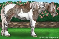 Horse Color:Silver Blue Onyx Ice Pearl Tobiano