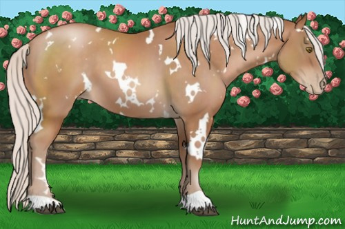 Horse Color:White Spotted Silver Brown Pearl