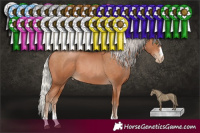 Horse Color:Silver Brown Pearl 