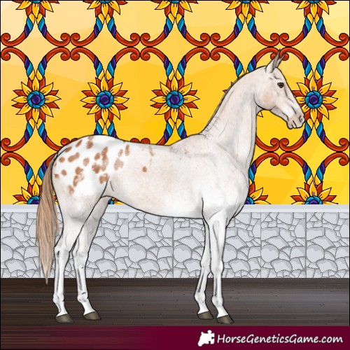 Horse Color:White Spotted Chestnut Tobiano Appaloosa 