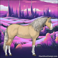 Horse Color:Silver Buckskin Roan Dun Splash 