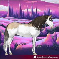 Horse Color:Buckskin Roan Dun Splash