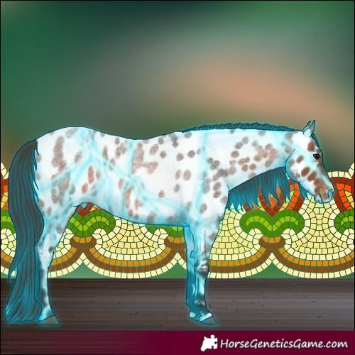 Horse Color:Thunderstruck Bay Roan Appaloosa 