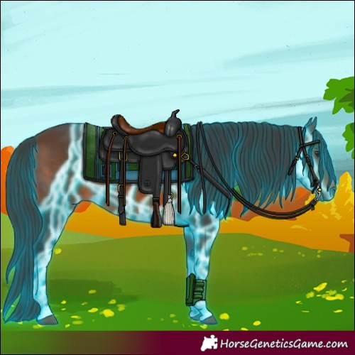 Horse Color:Thunderstruck Brown 