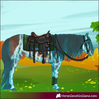 Horse Color:Thunderstruck Brown