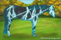 Horse Color:Thunderstruck Black 