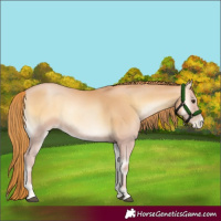 Horse Color:Red Onyx Pearl 