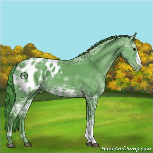 Horse Color:Watercolor Smoky Black Ice Appaloosa 