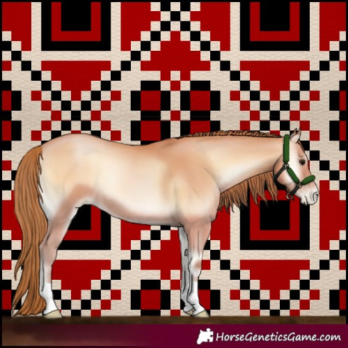 Horse Color:Bay Pearl Onyx 