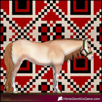 Horse Color:Bay Pearl Onyx