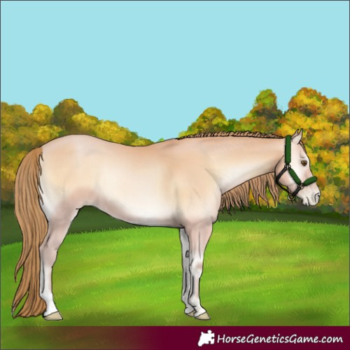 Horse Color:Bay Pearl Onyx Mushroom 