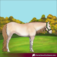 Horse Color:Bay Pearl Onyx Mushroom 