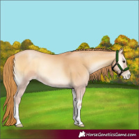 Horse Color:Red Onyx Pearl 