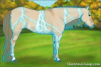 Horse Color:Thunderstruck Red Dun 