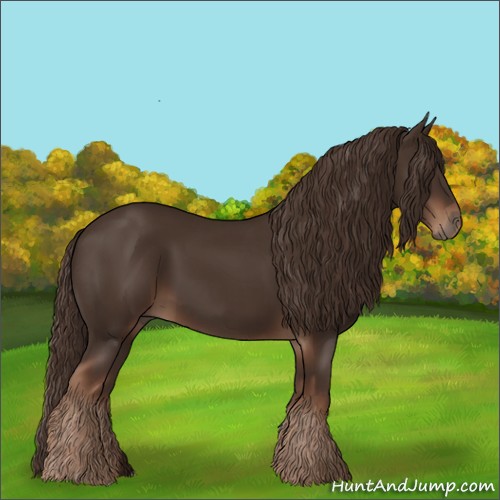 Horse Color:Liver Chestnut  and Liver Chestnut 
