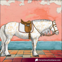 Horse Color:Palomino Dun Splash Appaloosa 
