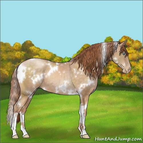 Horse Color:White Spotted Buckskin Pearl 