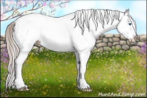 Horse Color:White Spotted Silver Bay Splash 
