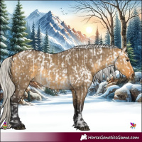 Horse Color:Silver Smoky Grullo Appaloosa  and Silver Buckskin Dun 