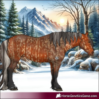 Horse Color:Silver Buckskin Dun  and Bay 