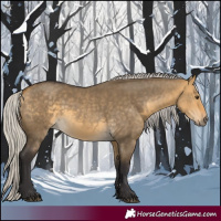 Horse Color:Silver Buckskin Dun 