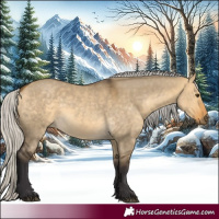 Horse Color:Silver Buckskin Dun 