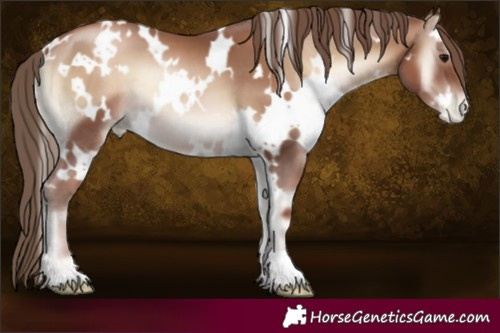 Horse Color:White Spotted Blue Onyx Pearl 