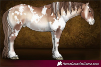 Horse Color:White Spotted Blue Onyx Pearl 