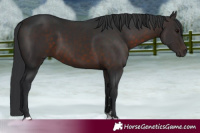 Horse Color:Brown 