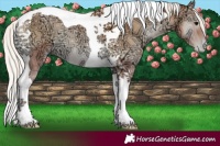 Horse Color:Silver Blue Onyx Ice Pearl Tobiano 