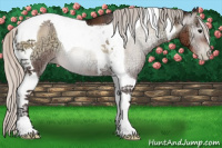 Horse Color:Gray Silver Blue Onyx Ice Pearl Tobiano