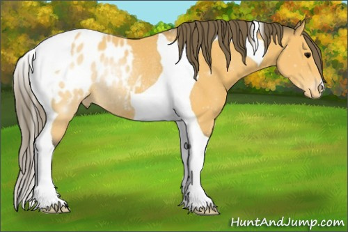 Horse Color:Buckskin Tobiano Blanket Rabicano