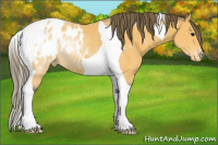 Horse Color:Buckskin Tobiano Blanket Rabicano