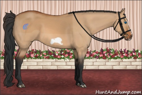 Horse Color:Bay Dun Splash Frame 