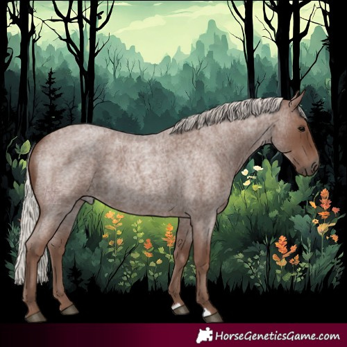 Horse Color:Silver Blue Roan 