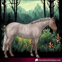 Horse Color:Silver Blue Roan 