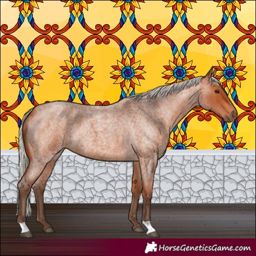 Horse Color:Silver Bay Roan