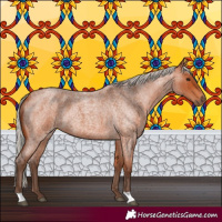 Horse Color:Silver Bay Roan 