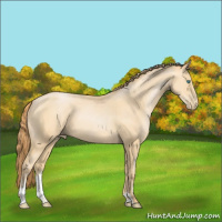 Horse Color:Smoky Black Pearl Sabino 