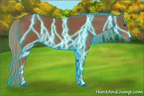 Horse Color:Thunderstruck Chestnut 