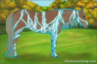 Horse Color:Thunderstruck Chestnut 