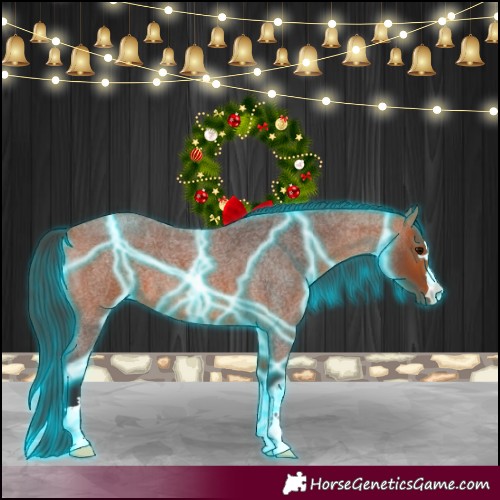 Horse Color:Thunderstruck Bay Roan 