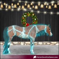 Horse Color:Thunderstruck Bay Roan 