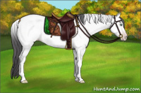 Horse Color:Platinum Amber Cream Champagne Dun Tobiano