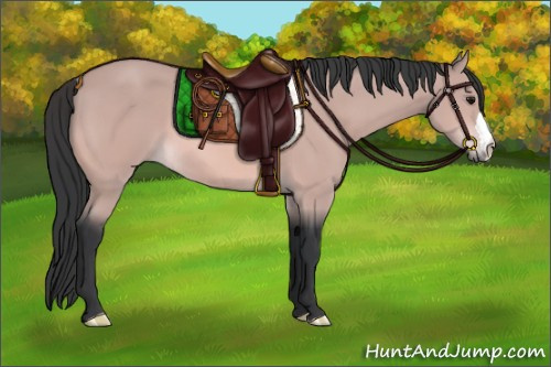 Horse Color:Platinum Bay 