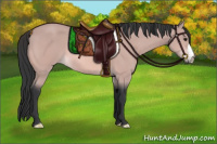 Horse Color:Platinum Bay