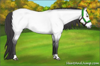 Horse Color:Platinum Buckskin Dun 