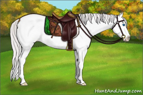 Horse Color:Platinum Perlino Dun Splash