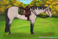 Horse Color:Platinum Bay Roan 